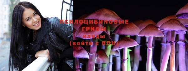 меф Дмитриев