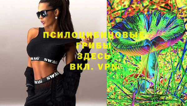меф Дмитриев